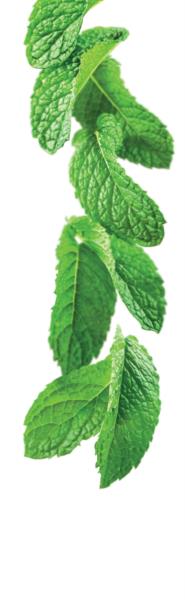 1883 Syrup - Green Mint (P) 1L photo 2