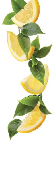 1883 Syrup - Iced tea - Lemon (1x1L) photo 2