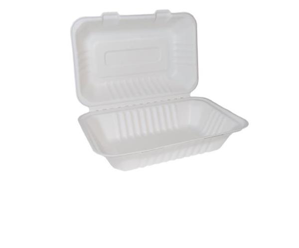 Bagasse Clamshell Food Box - Large 9x6" photo 1