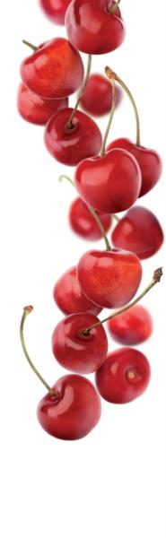 1883 Syrup - Cherry (1x1L) photo 2