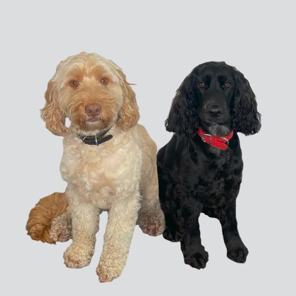 Meet our Heads Of Security Barney & Poppet