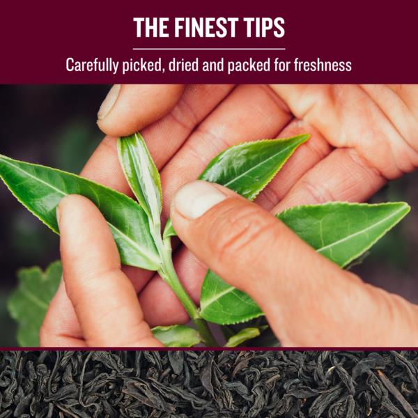 The Tea Masters Loose Leaf Tea - Breakfast Tea - Premium (1x250g) photo 2