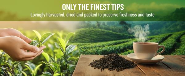The Tea Masters Loose Leaf Tea - Decaf English Breakfast - Fannings (1x250g) photo 8